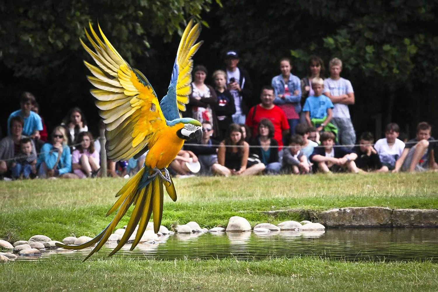 Parc animalier Branféré